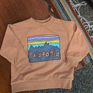 Patagonia Crew Sweatshirt